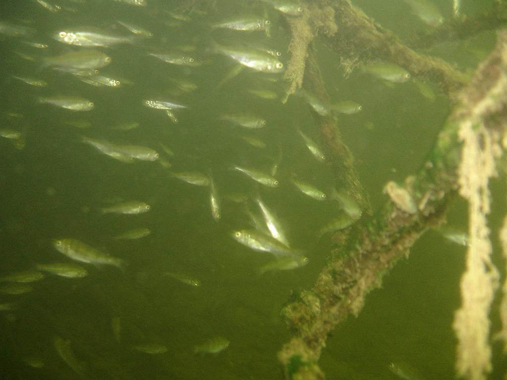 2008-06-29 11-14-02 H.JPG
